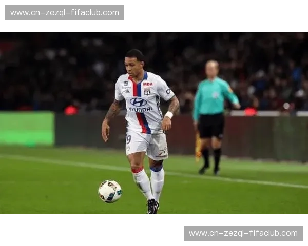 诺科平vs佐加顿斯：两大新势力，谁将引领下一代智能家居风潮？